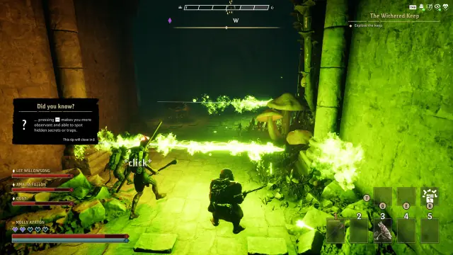 Wyldheart Crossplay: Platforms, Co-op Support, and Release Plans